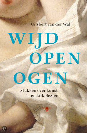Wijd open ogen - stukken over kunst en kijkplezier - Gijsbert van der Wal